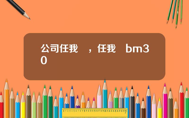 公司任我遊，任我遊bm30評測