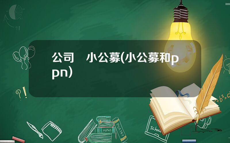 公司債小公募(小公募和ppn)