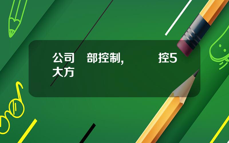 公司內部控制,財務內控5大方麪