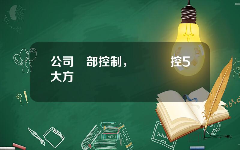 公司內部控制，財務內控5大方麪