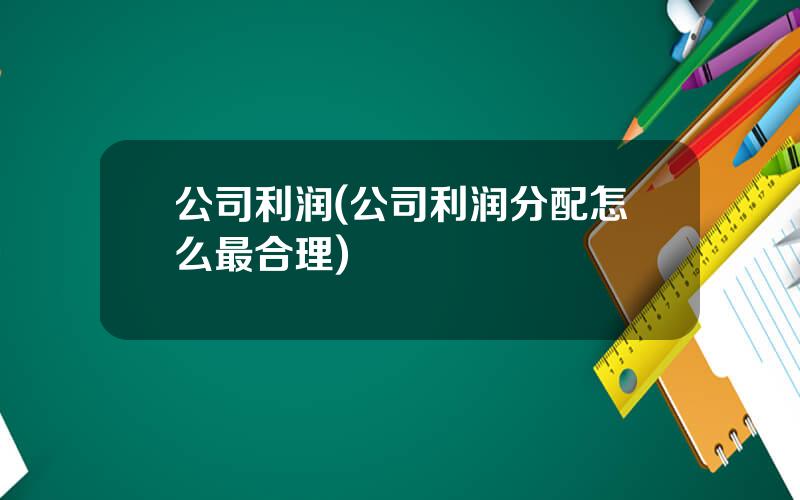 公司利润(公司利润分配怎么最合理)