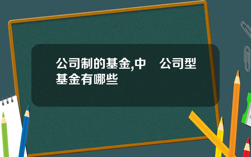 公司制的基金,中國公司型基金有哪些