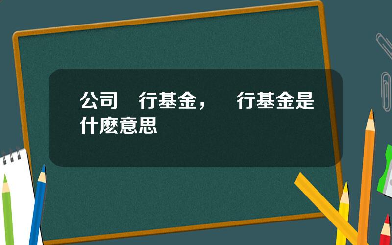 公司發行基金，發行基金是什麽意思
