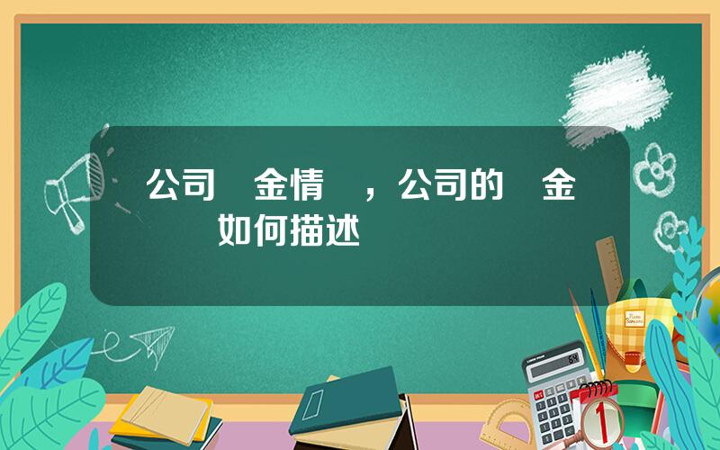 公司資金情況，公司的資金狀況如何描述