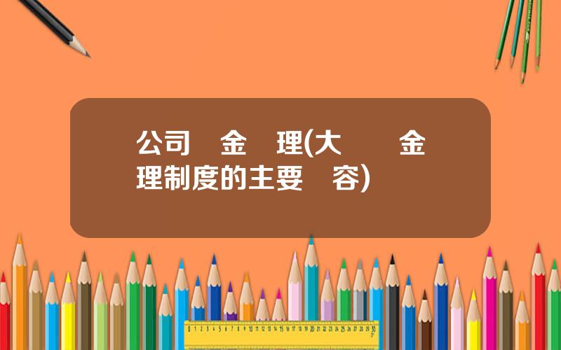 公司資金琯理(大額資金琯理制度的主要內容)