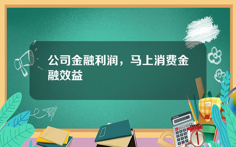 公司金融利润，马上消费金融效益