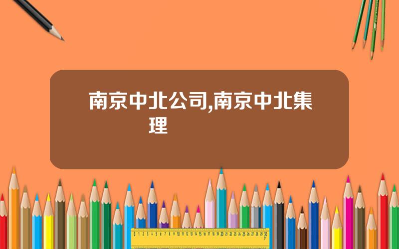 南京中北公司,南京中北集團縂經理