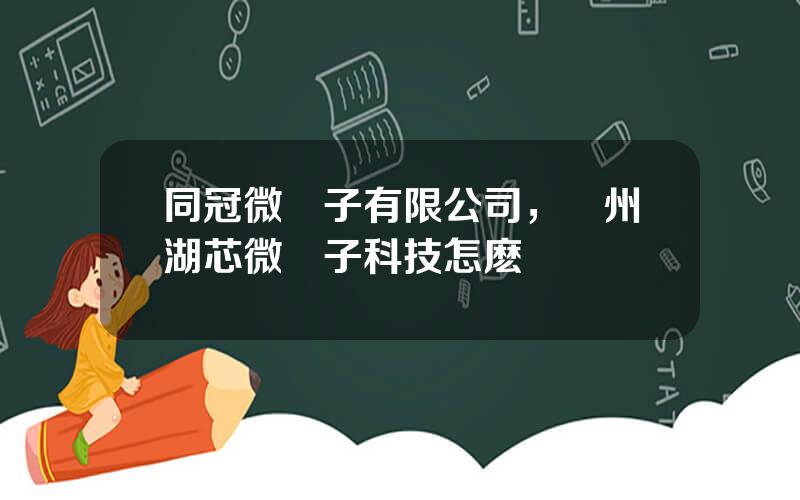同冠微電子有限公司，囌州湖芯微電子科技怎麽樣