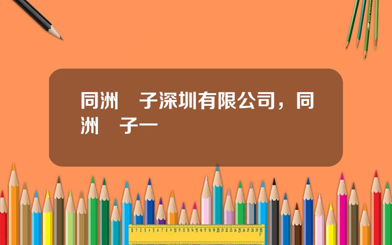 同洲電子深圳有限公司，同洲電子一