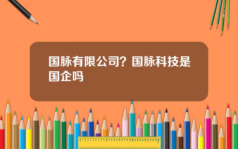 国脉有限公司？国脉科技是国企吗