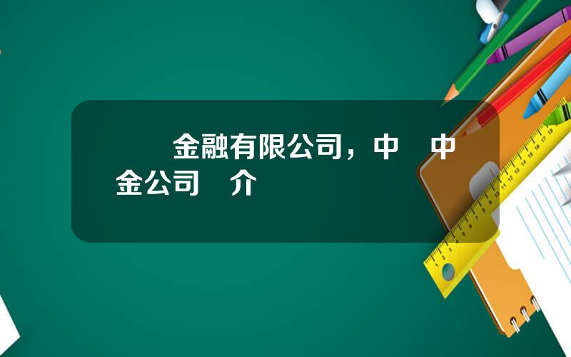 國際金融有限公司，中國中金公司簡介