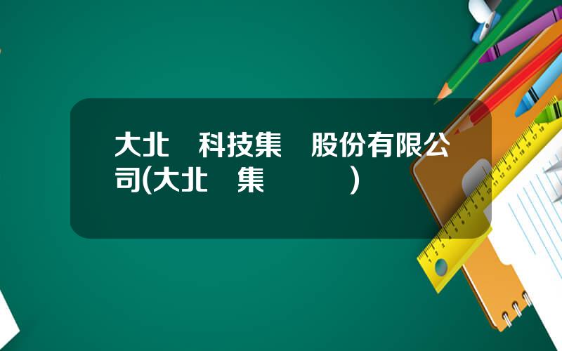 大北辳科技集團股份有限公司(大北辳集團現狀)