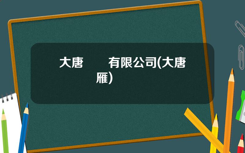 大唐財務有限公司(大唐財務張鴻雁)