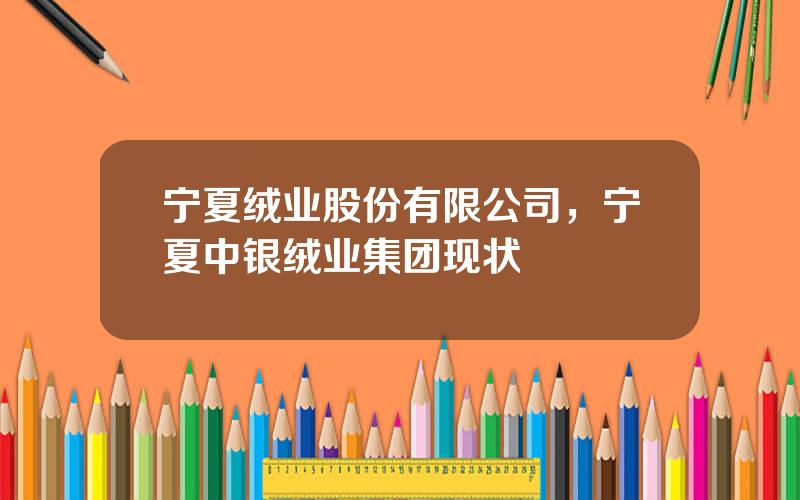 宁夏绒业股份有限公司，宁夏中银绒业集团现状