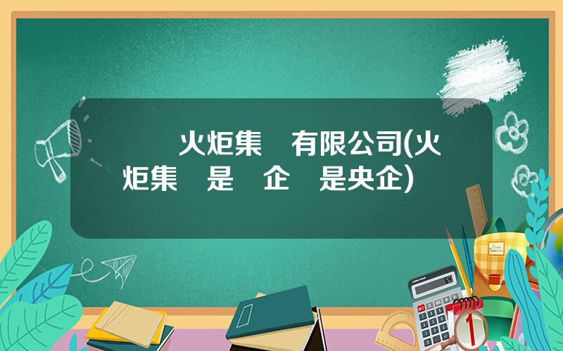 廈門火炬集團有限公司(火炬集團是國企還是央企)