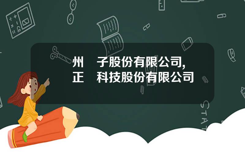 廣州電子股份有限公司,廣東正業科技股份有限公司