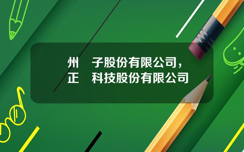 廣州電子股份有限公司，廣東正業科技股份有限公司