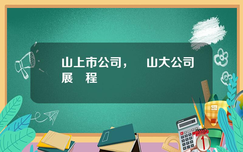 樂山上市公司，樂山大公司發展歷程