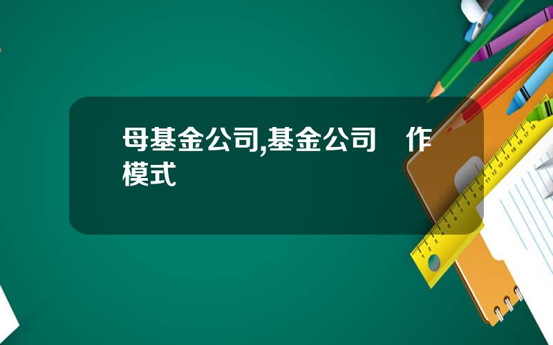 母基金公司,基金公司運作模式