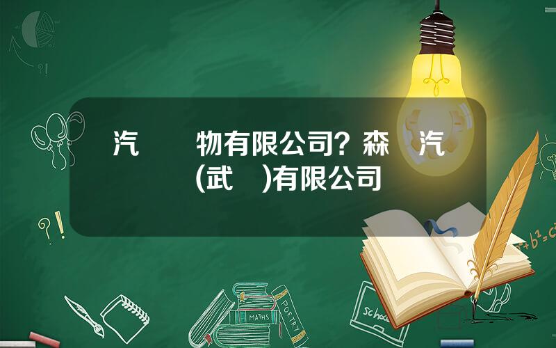 汽車織物有限公司？森織汽車內飾(武漢)有限公司