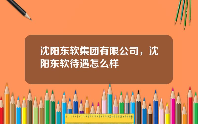 沈阳东软集团有限公司，沈阳东软待遇怎么样