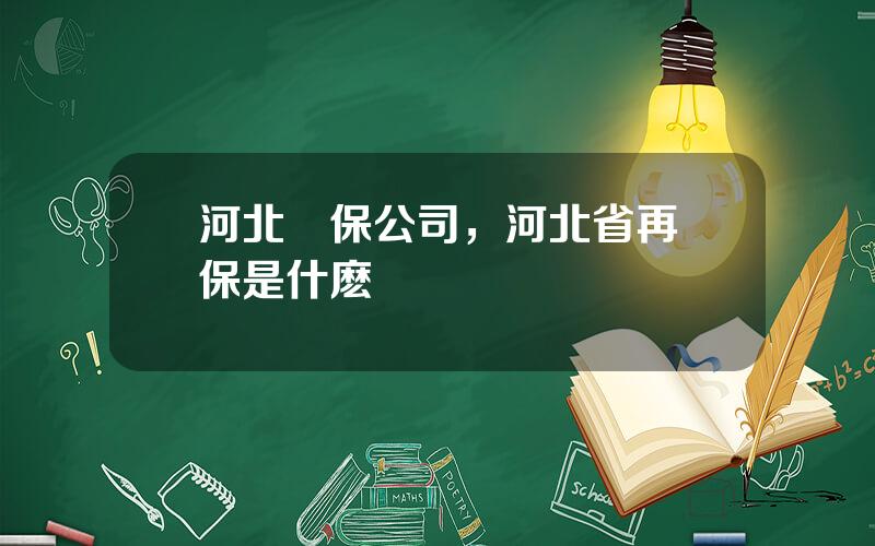 河北擔保公司，河北省再擔保是什麽級別