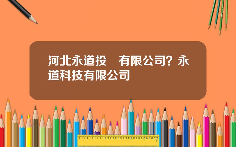 河北永道投資有限公司？永道科技有限公司