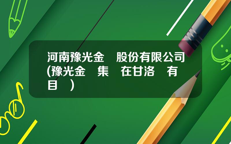 河南豫光金鉛股份有限公司(豫光金鉛集團在甘洛縣有項目嗎)