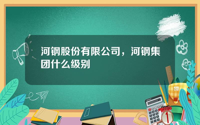 河钢股份有限公司，河钢集团什么级别
