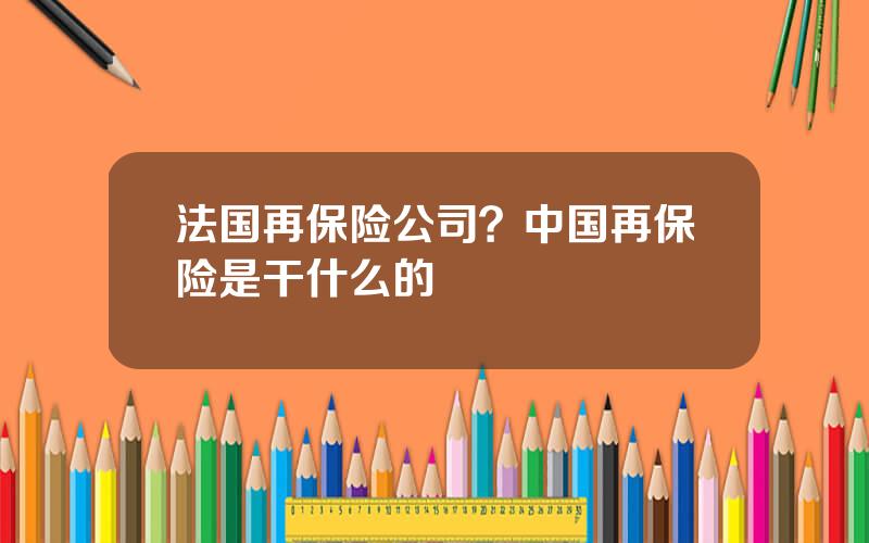 法国再保险公司？中国再保险是干什么的