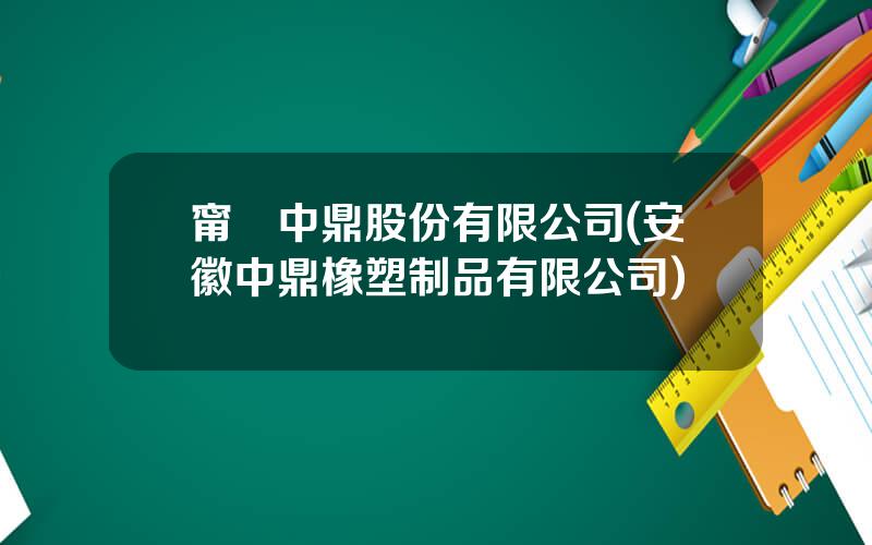 甯國中鼎股份有限公司(安徽中鼎橡塑制品有限公司)