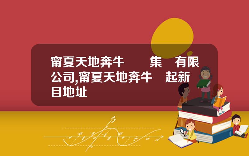 甯夏天地奔牛實業集團有限公司,甯夏天地奔牛銀起新項目地址