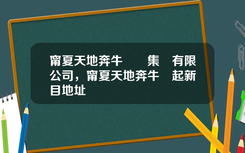 甯夏天地奔牛實業集團有限公司，甯夏天地奔牛銀起新項目地址