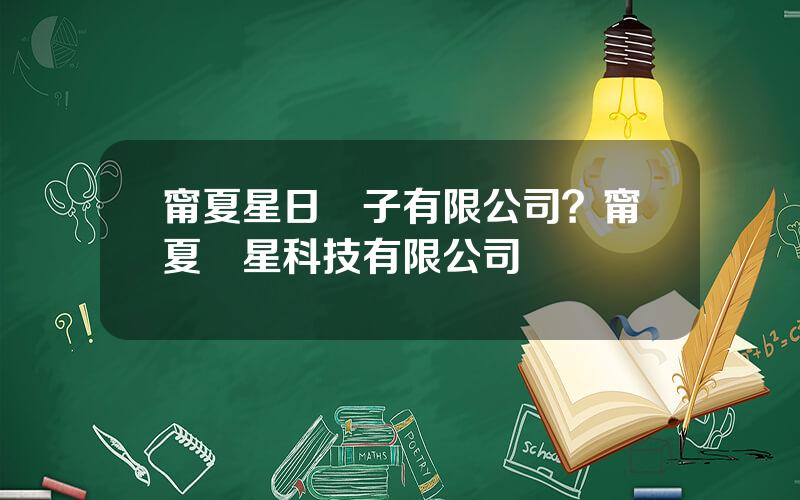 甯夏星日電子有限公司？甯夏時星科技有限公司