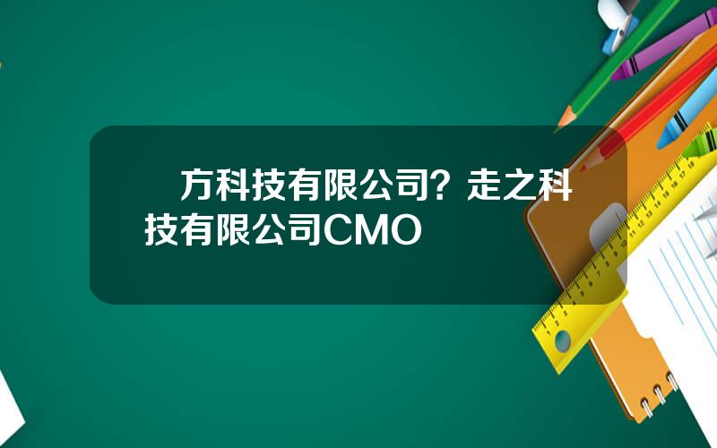 聖方科技有限公司？走之科技有限公司CMO
