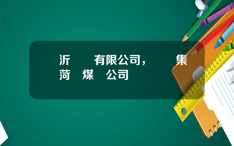 臨沂鑛業有限公司，臨鑛集團菏澤煤電公司